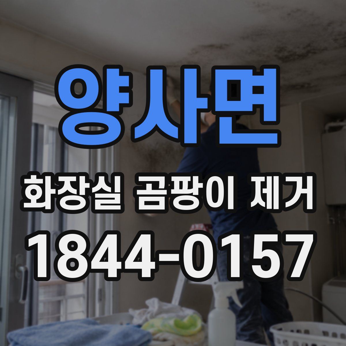 양사면 화장실 곰팡이 제거