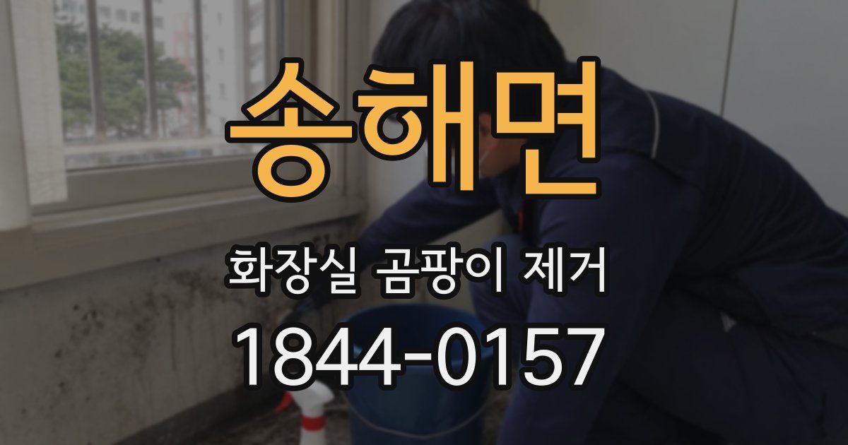 송해면 화장실 곰팡이 제거