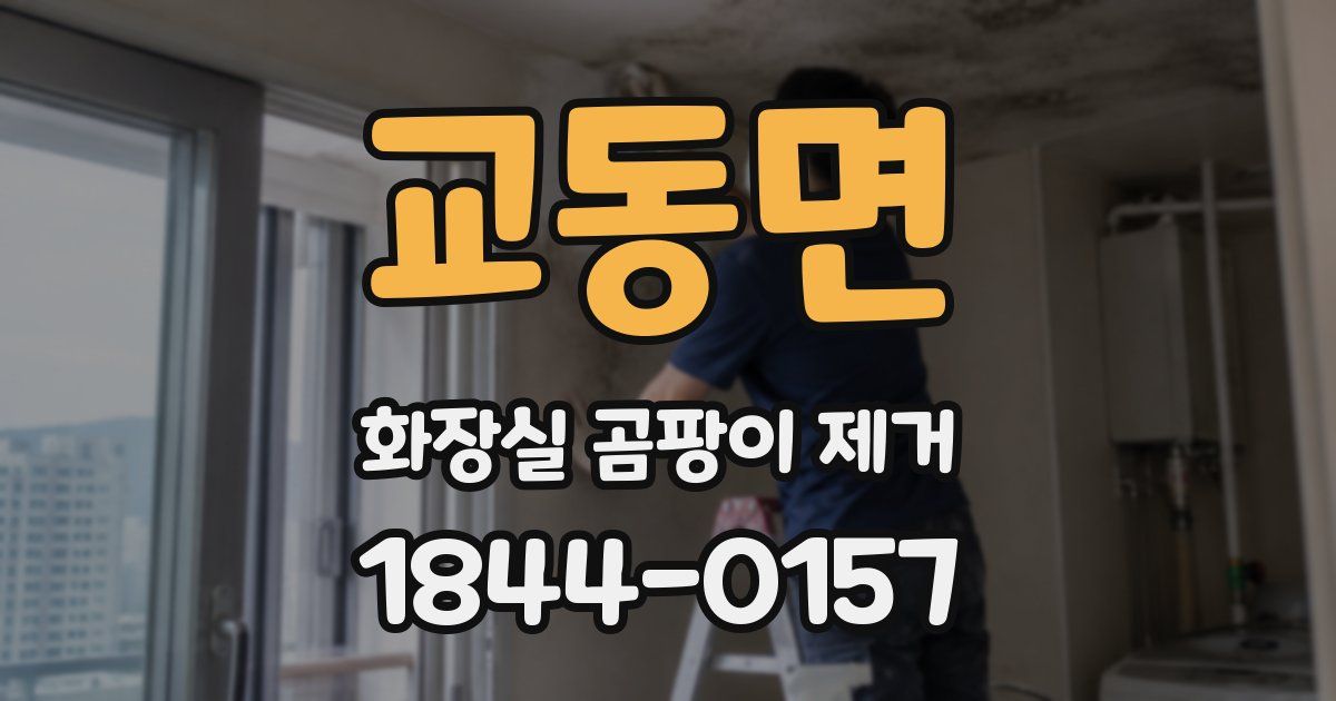 교동면 화장실 곰팡이 제거