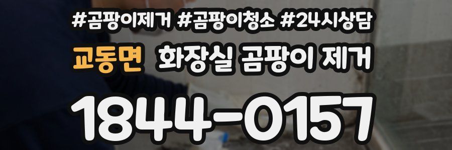 교동면 화장실 곰팡이 제거