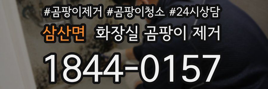 삼산면 화장실 곰팡이 제거
