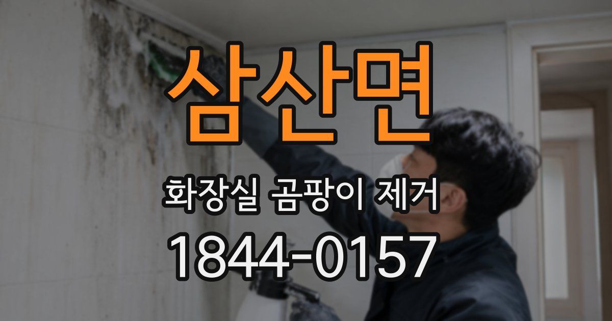 삼산면 화장실 곰팡이 제거