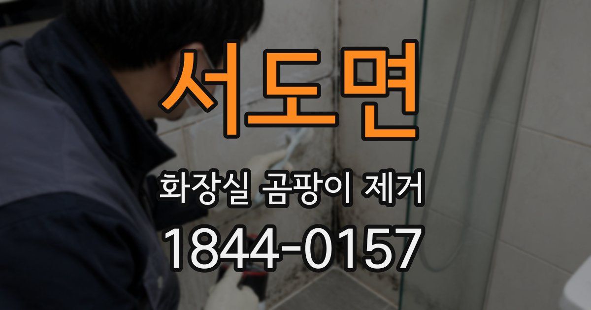 서도면 화장실 곰팡이 제거