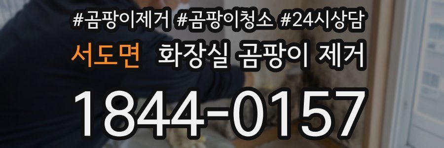 서도면 화장실 곰팡이 제거