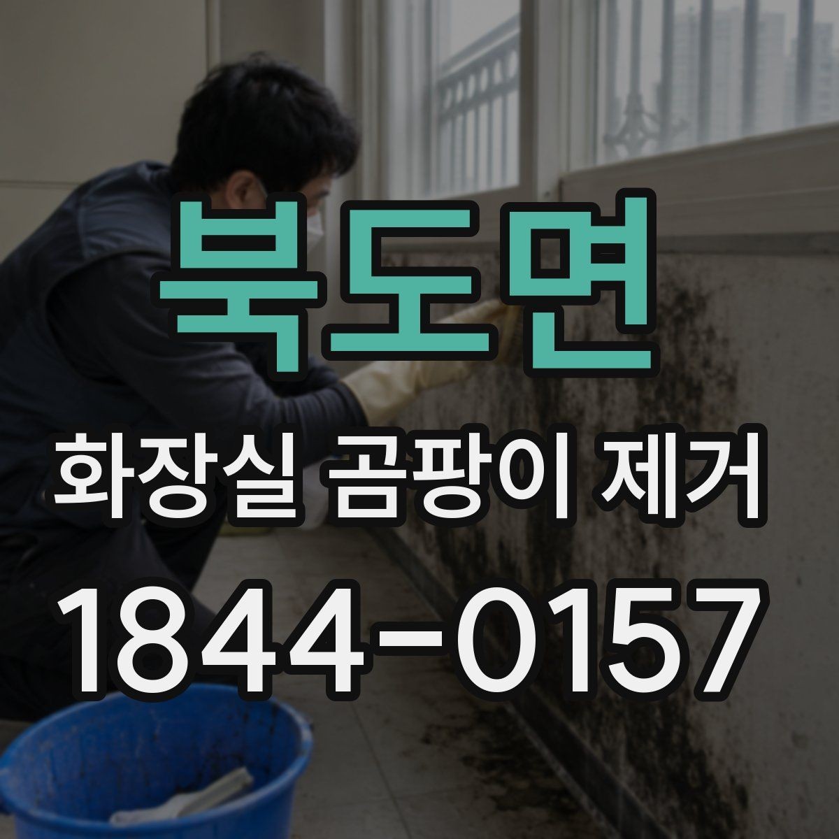 북도면 화장실 곰팡이 제거 락스 쓰기 전에 먼저 확인할 주의사항