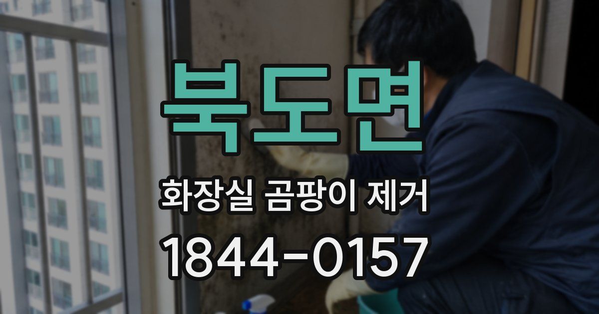 북도면 화장실 곰팡이 제거