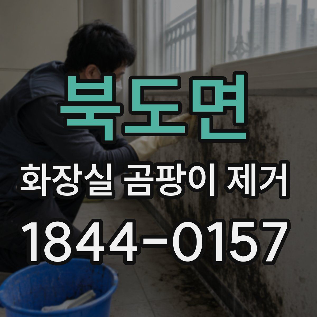 북도면 화장실 곰팡이 제거