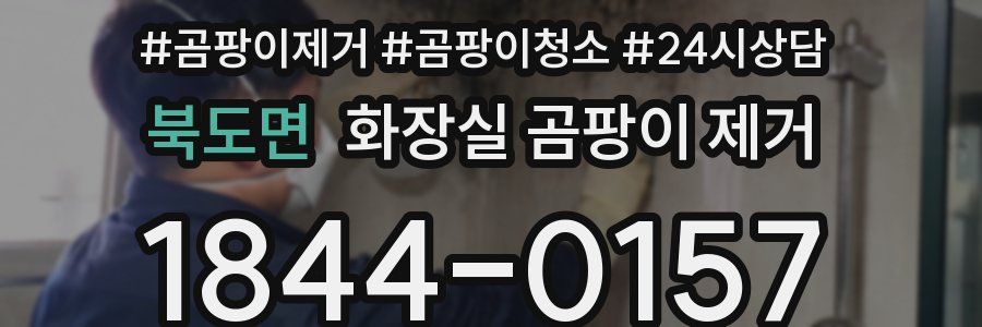 북도면 화장실 곰팡이 제거