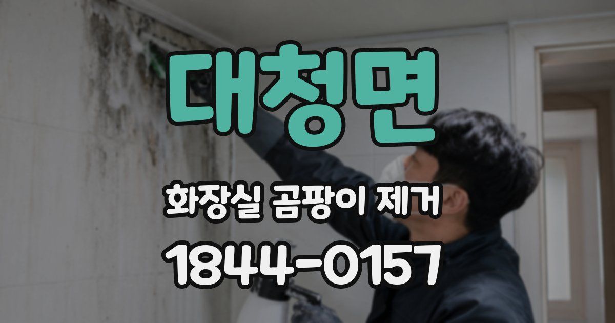 대청면 화장실 곰팡이 제거