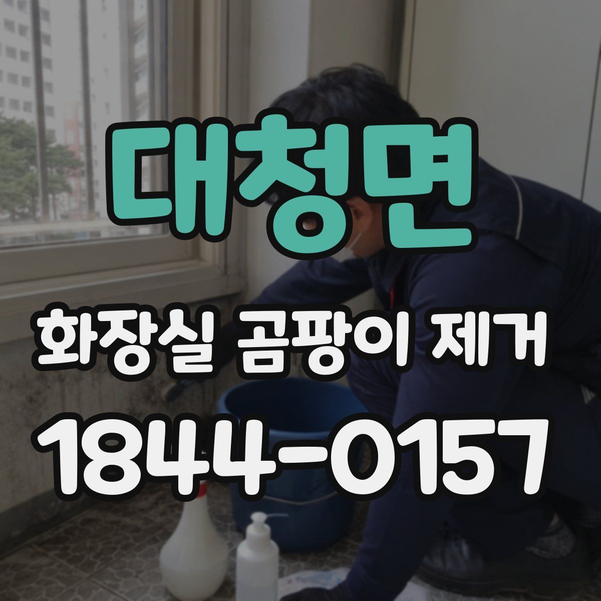 대청면 화장실 곰팡이 제거