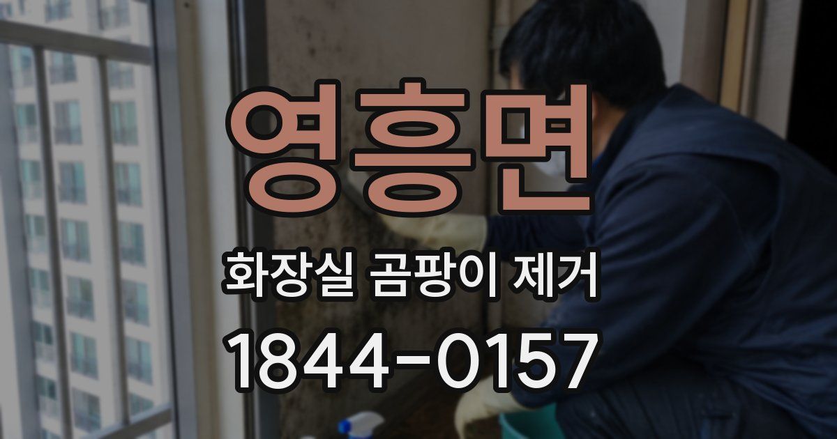 영흥면 화장실 곰팡이 제거
