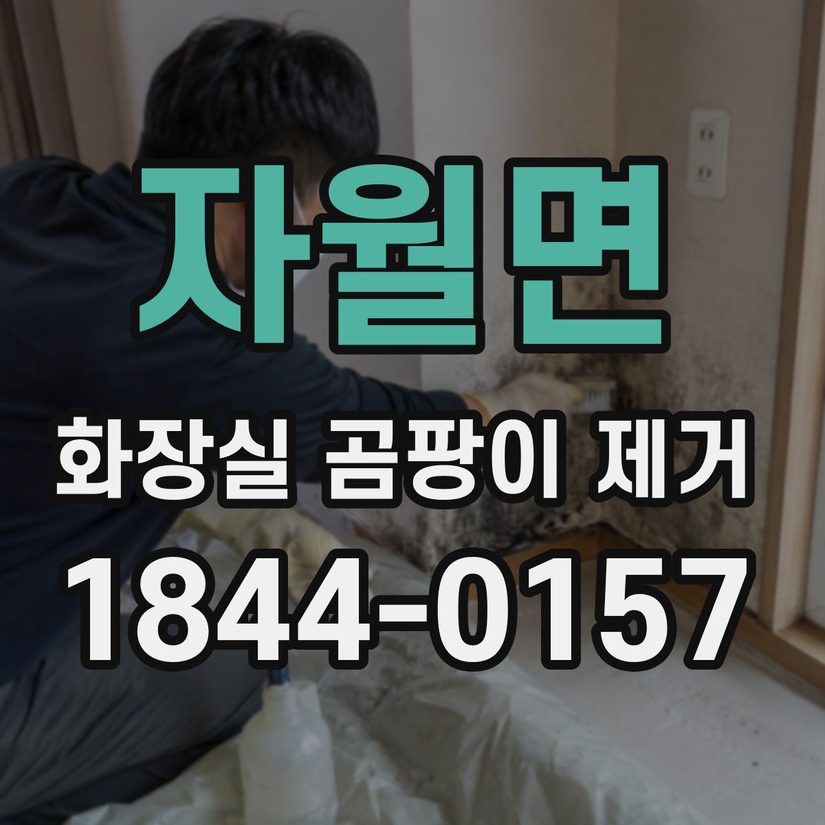 자월면 화장실 곰팡이 제거