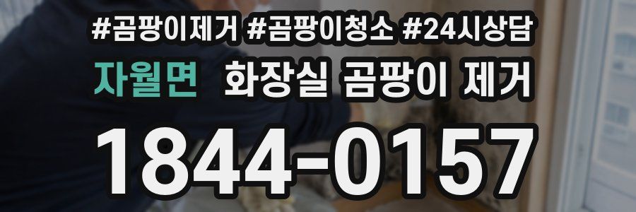 자월면 화장실 곰팡이 제거