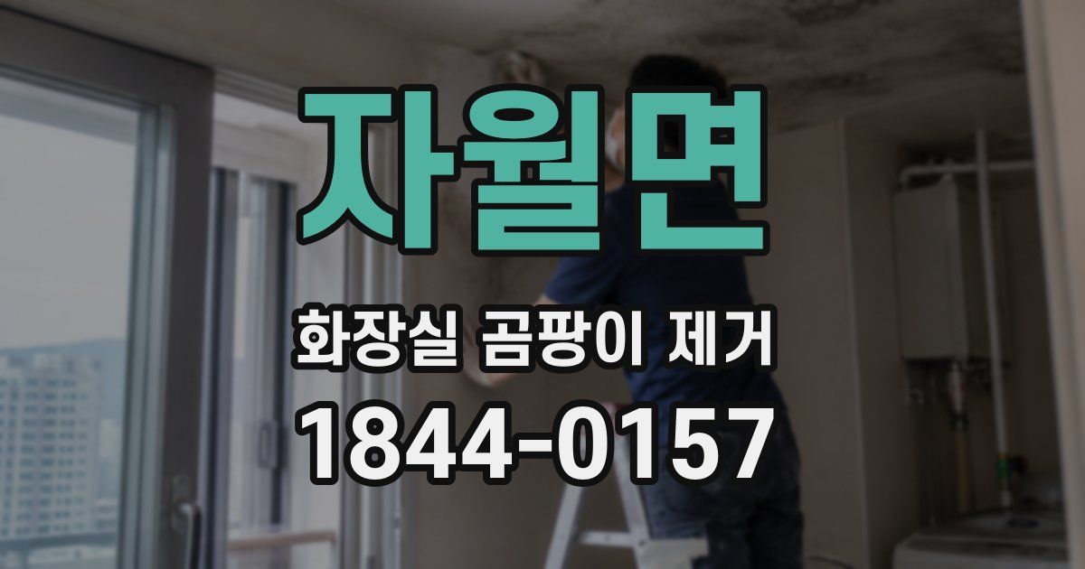 자월면 화장실 곰팡이 제거