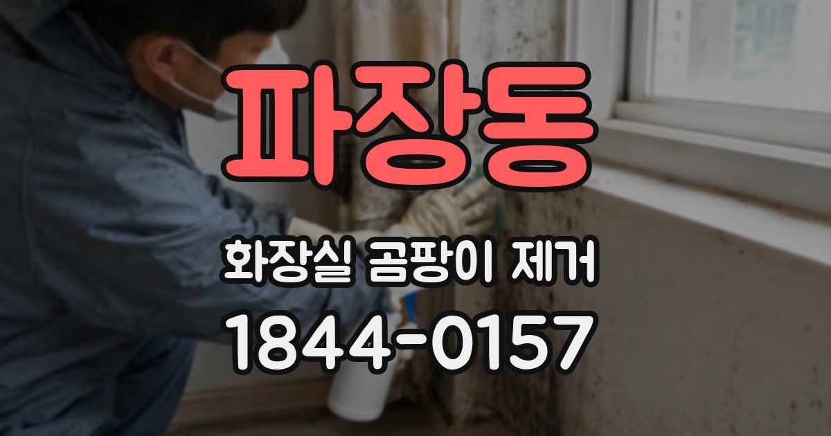 파장동 화장실 곰팡이 제거