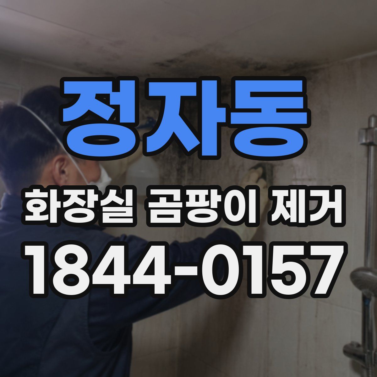 정자동 화장실 곰팡이 제거