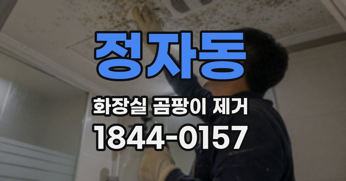 정자동 화장실 곰팡이 제거
