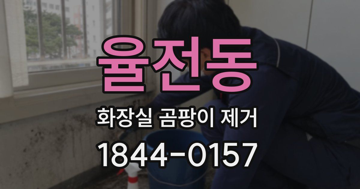 율전동 화장실 곰팡이 제거