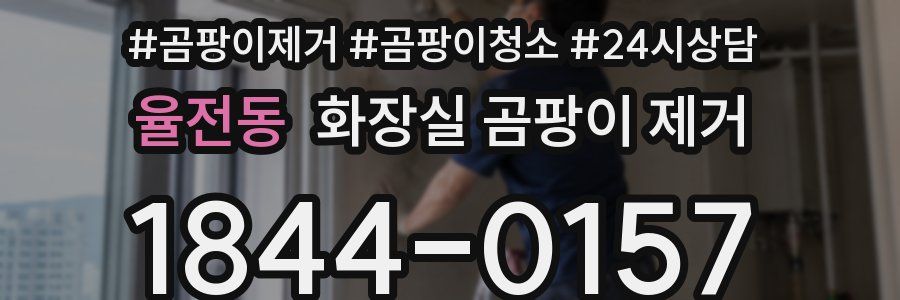 율전동 화장실 곰팡이 제거