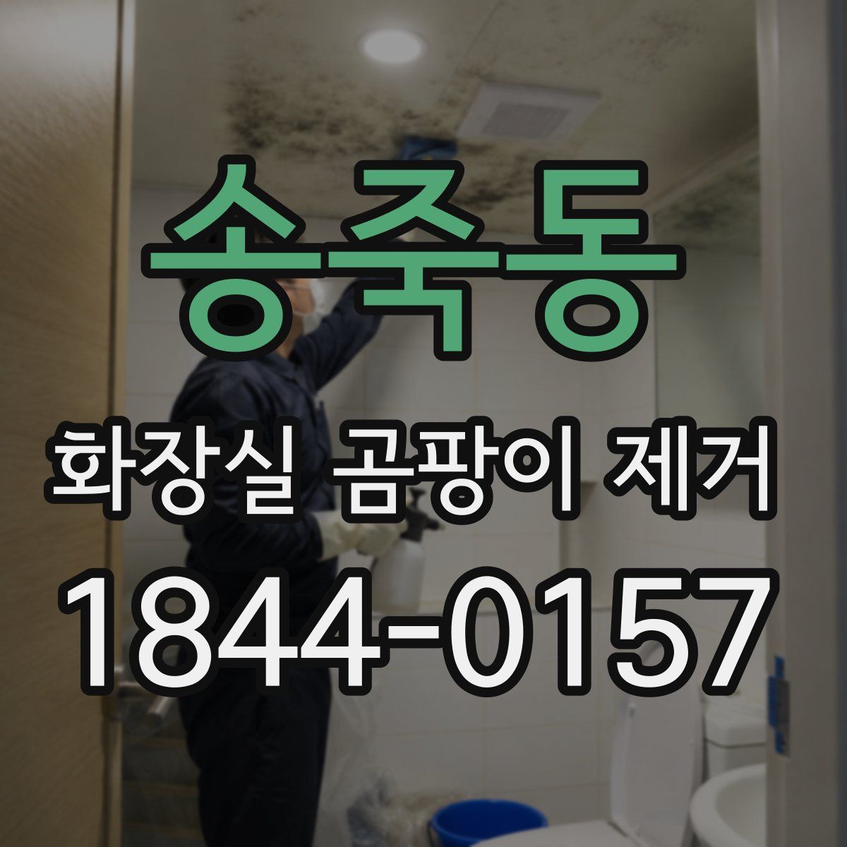 송죽동 화장실 곰팡이 제거