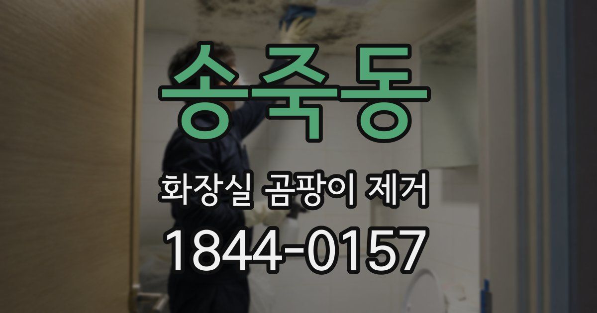 송죽동 화장실 곰팡이 제거