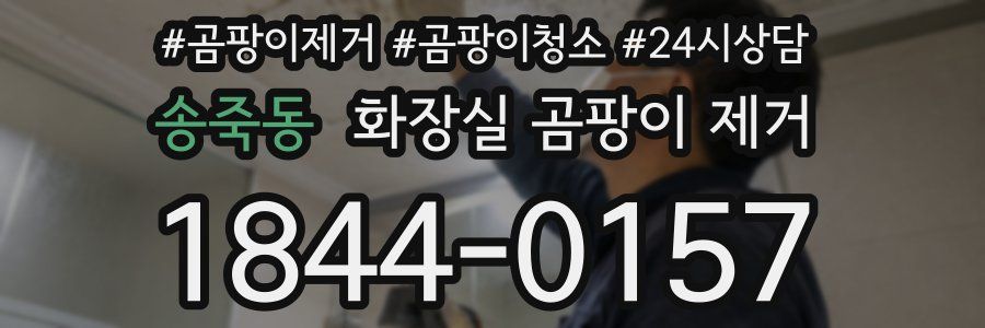 송죽동 화장실 곰팡이 제거