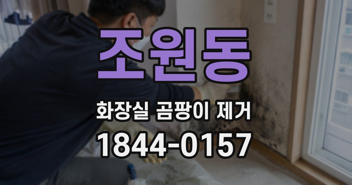 조원동 화장실 곰팡이 제거
