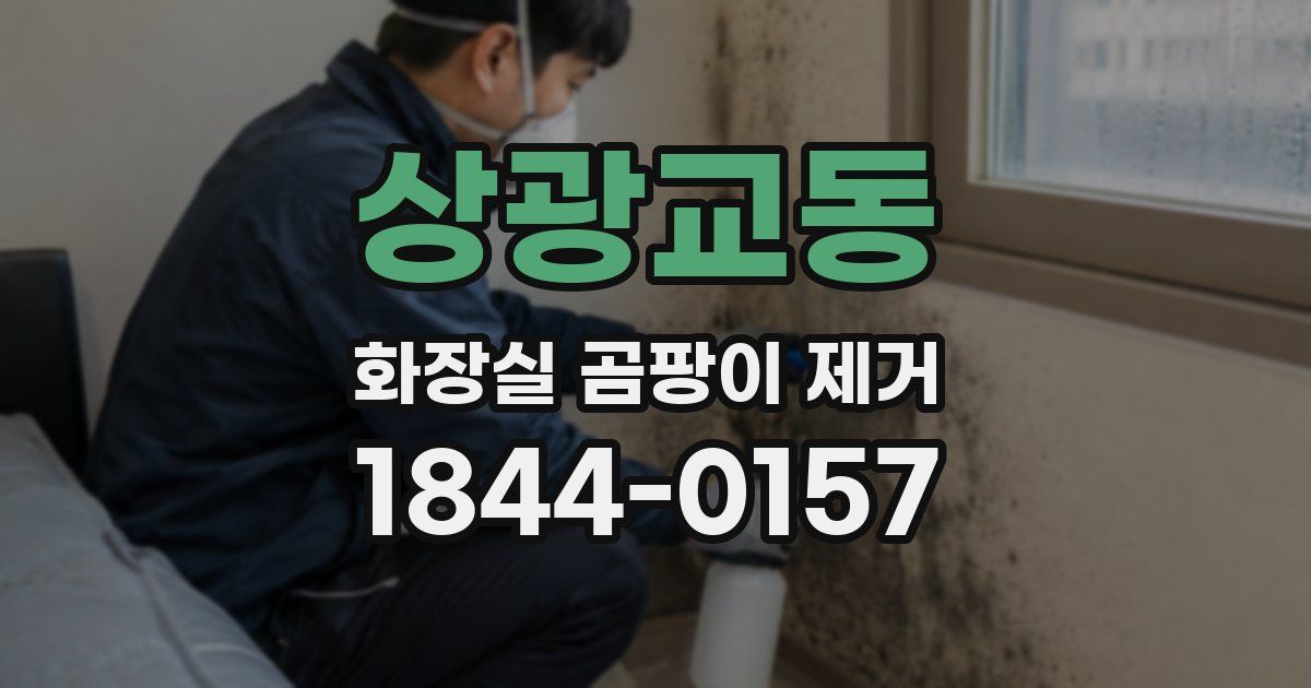 상광교동 화장실 곰팡이 제거