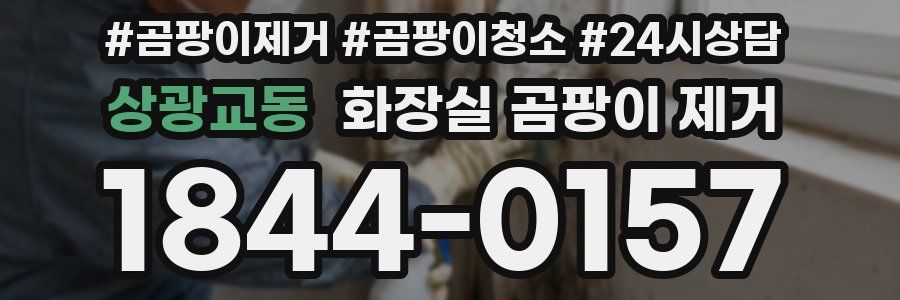 상광교동 화장실 곰팡이 제거