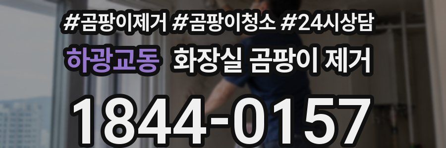 하광교동 화장실 곰팡이 제거