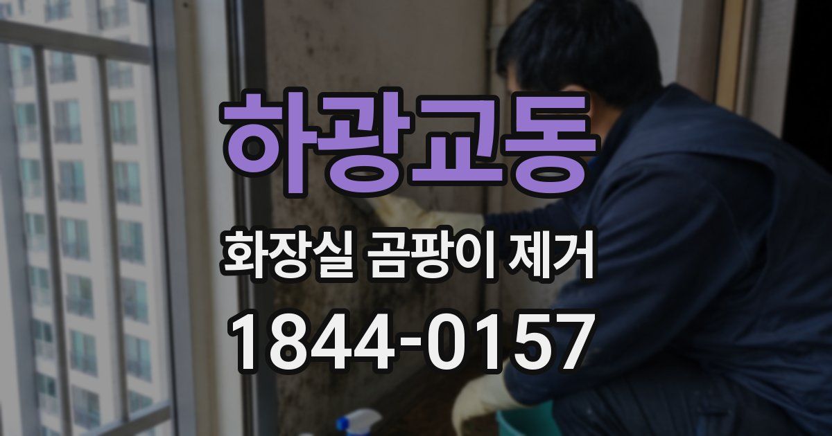 하광교동 화장실 곰팡이 제거