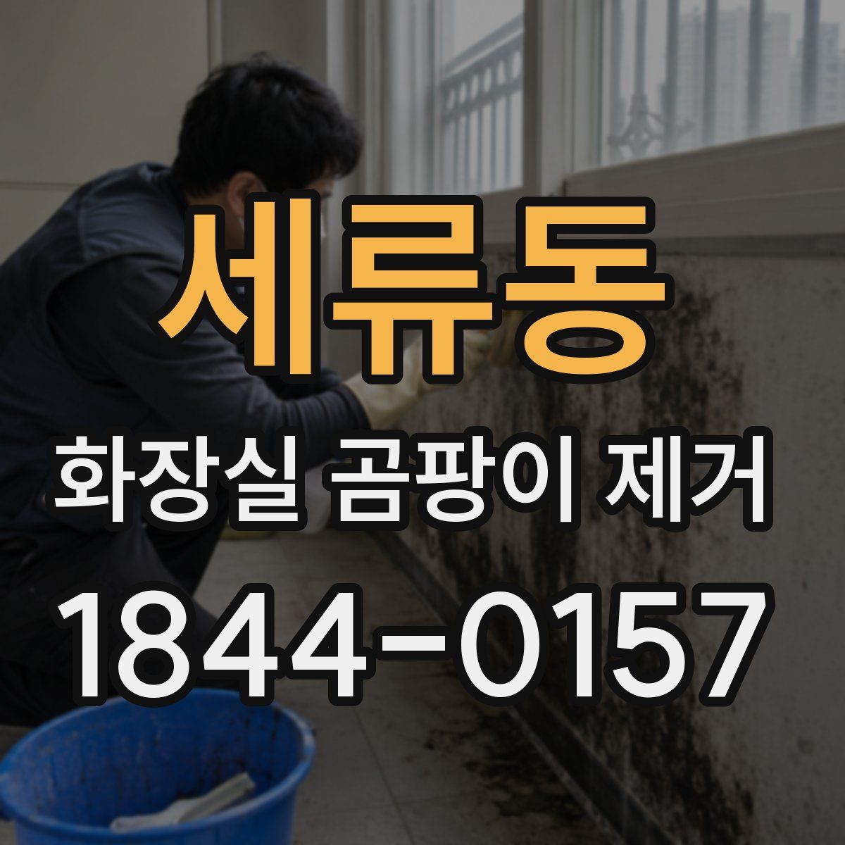 세류동 화장실 곰팡이 제거