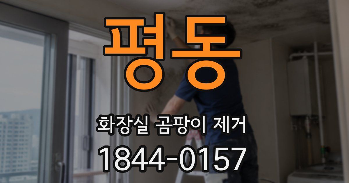 평동 화장실 곰팡이 제거