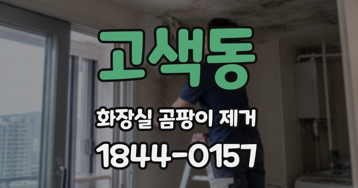 고색동 화장실 곰팡이 제거