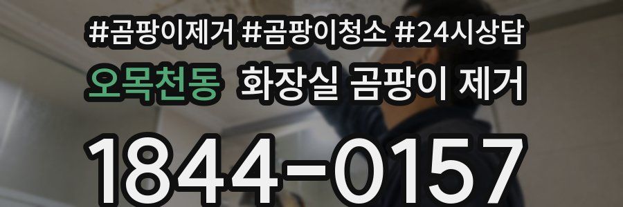 오목천동 화장실 곰팡이 제거