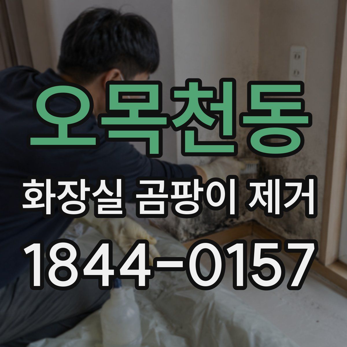 오목천동 화장실 곰팡이 제거