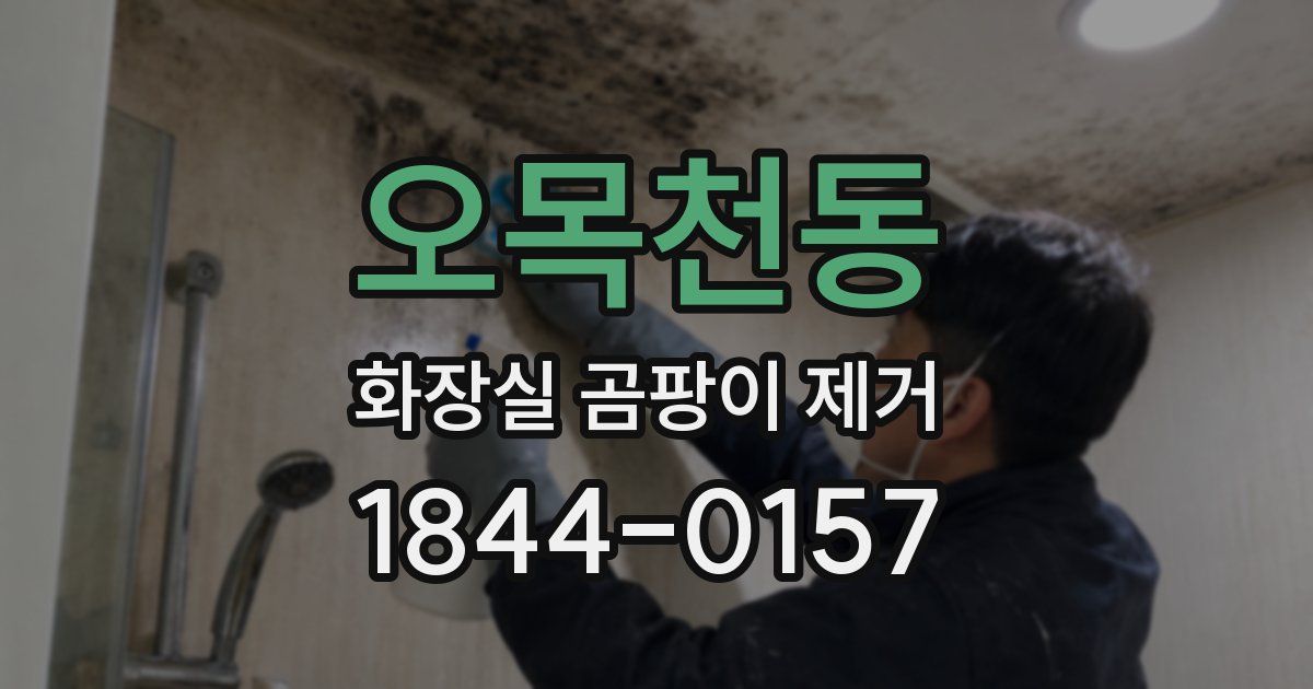 오목천동 화장실 곰팡이 제거