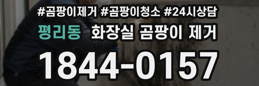 평리동 화장실 곰팡이 제거