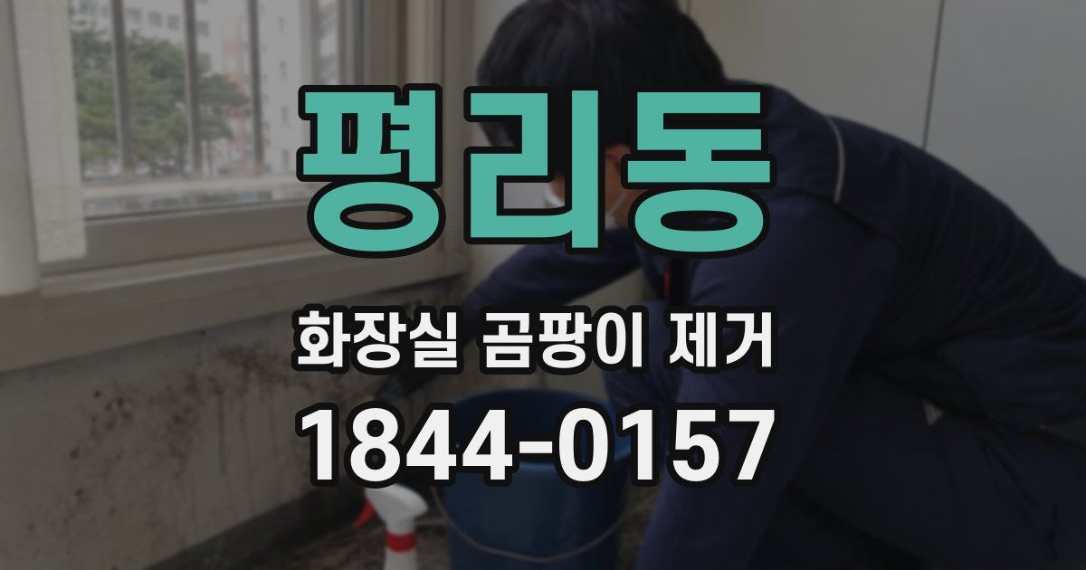 평리동 화장실 곰팡이 제거