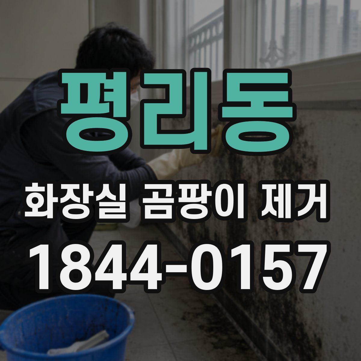 평리동 화장실 곰팡이 제거