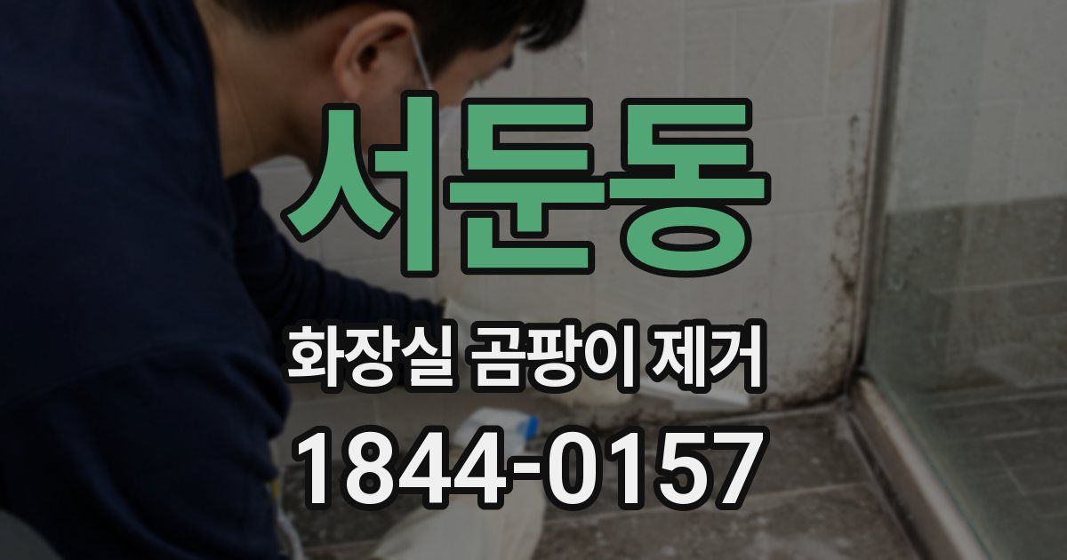 서둔동 화장실 곰팡이 제거