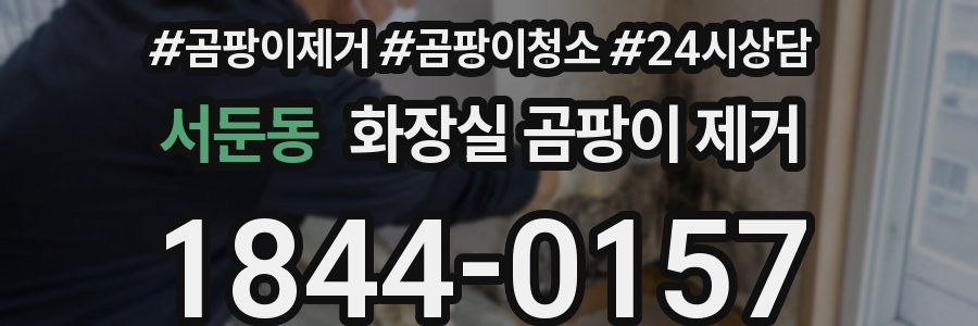 서둔동 화장실 곰팡이 제거