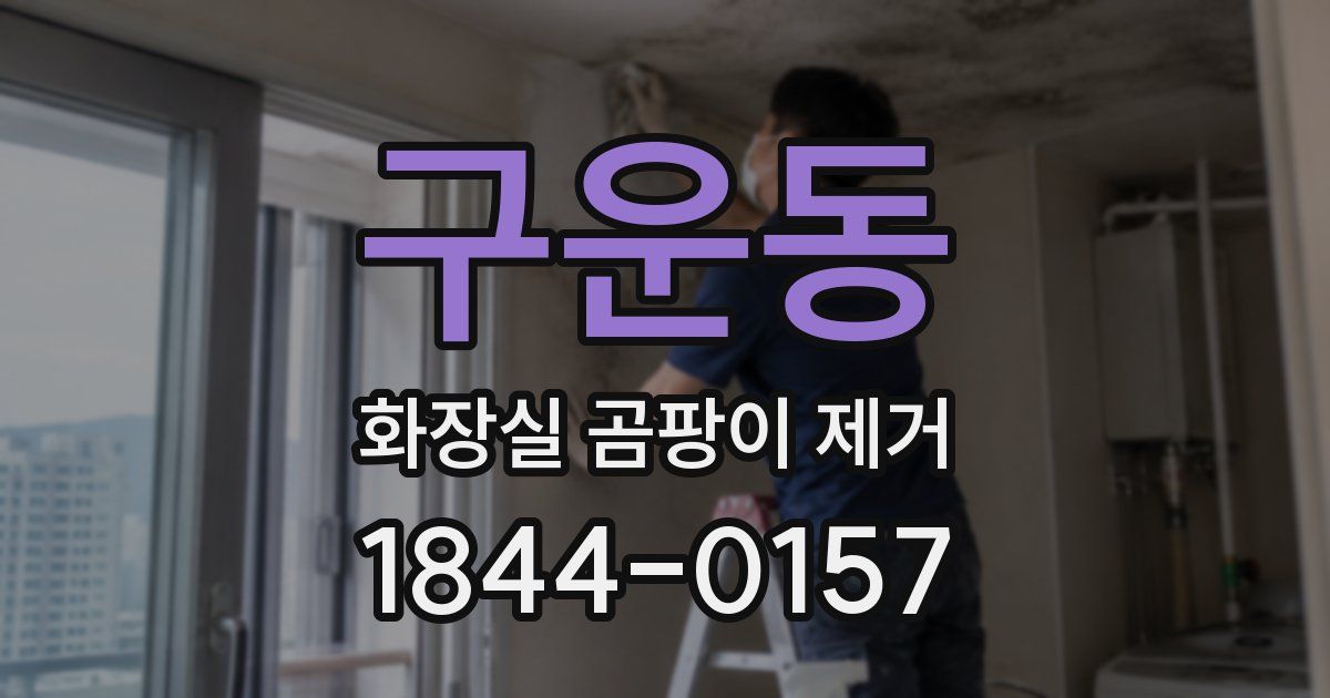 구운동 화장실 곰팡이 제거