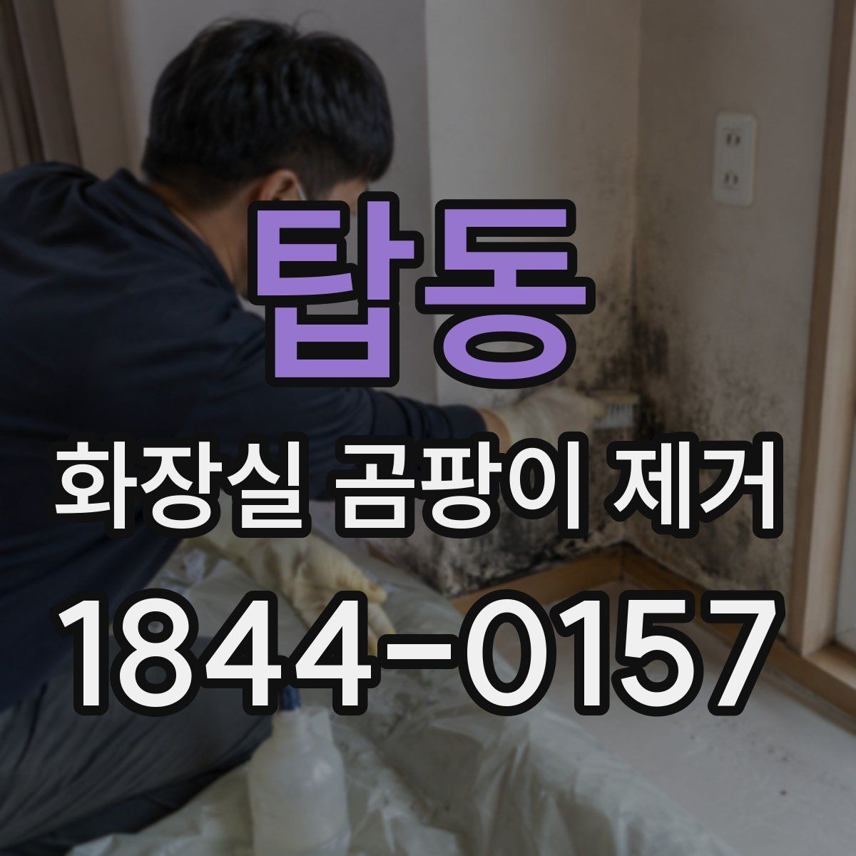 탑동 화장실 곰팡이 제거 오염 범위별 대응 방식