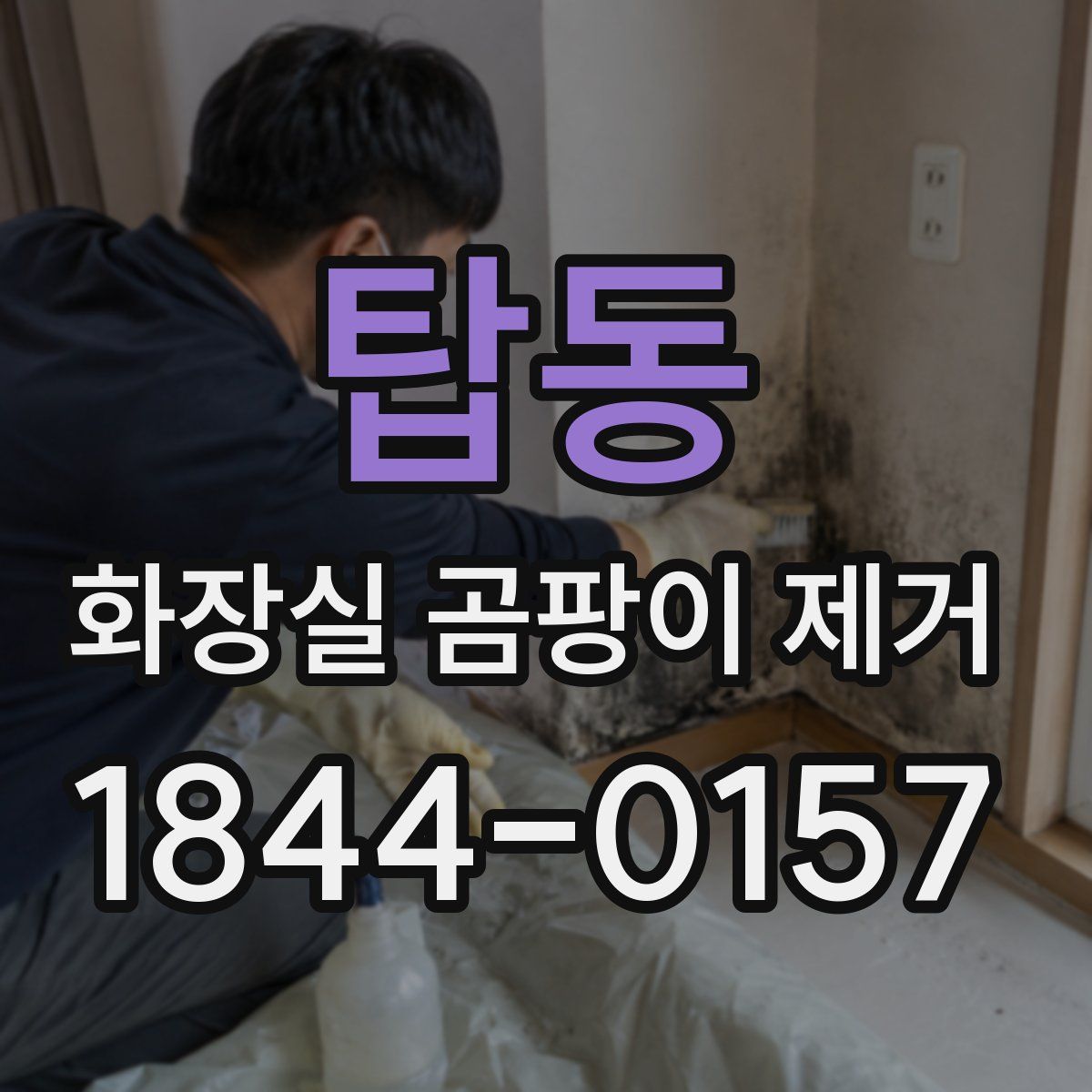 탑동 화장실 곰팡이 제거