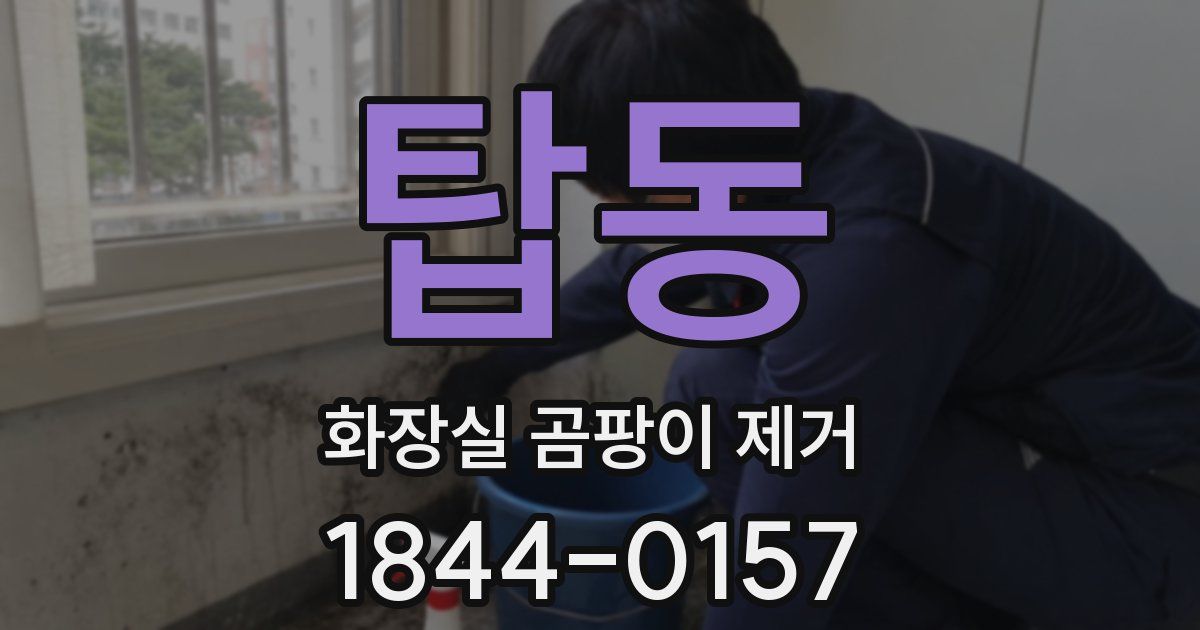 탑동 화장실 곰팡이 제거