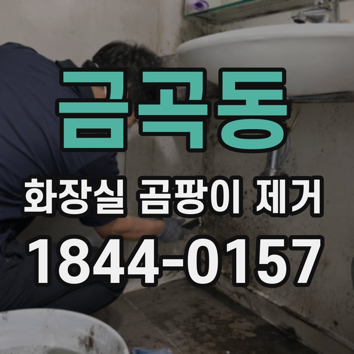 금곡동 화장실 곰팡이 제거 타일 틈새 깊은 오염을 다루는 방법