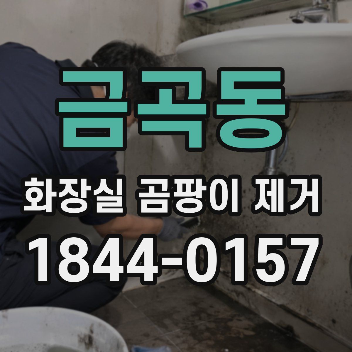 금곡동 화장실 곰팡이 제거