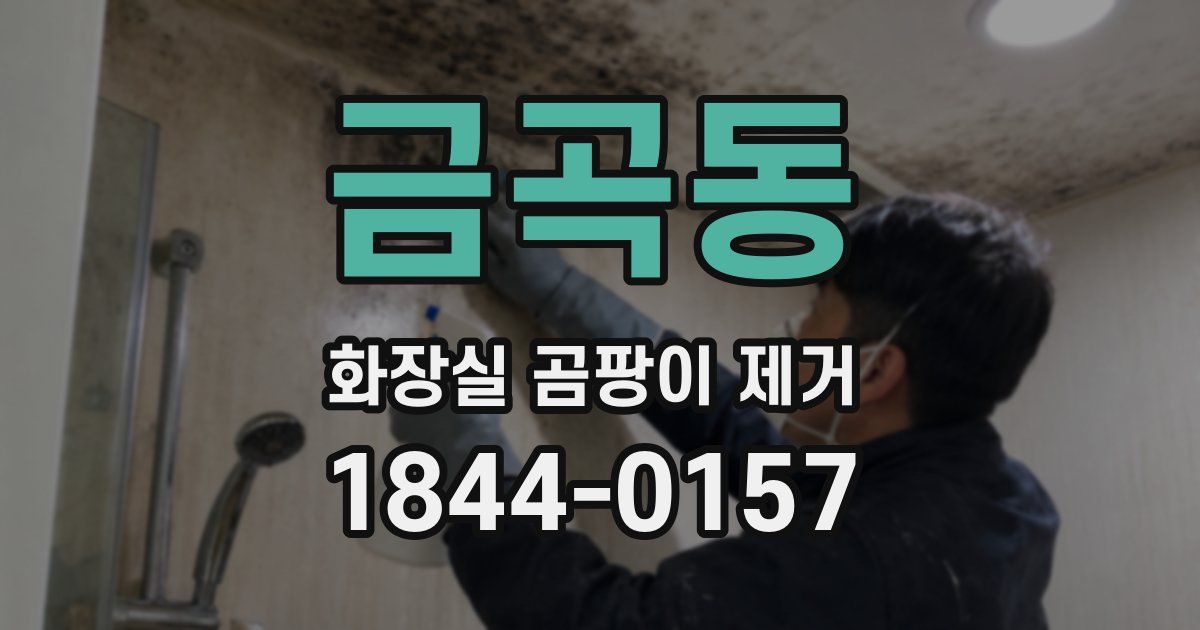 금곡동 화장실 곰팡이 제거