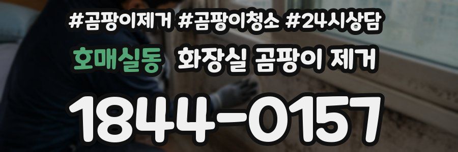 호매실동 화장실 곰팡이 제거